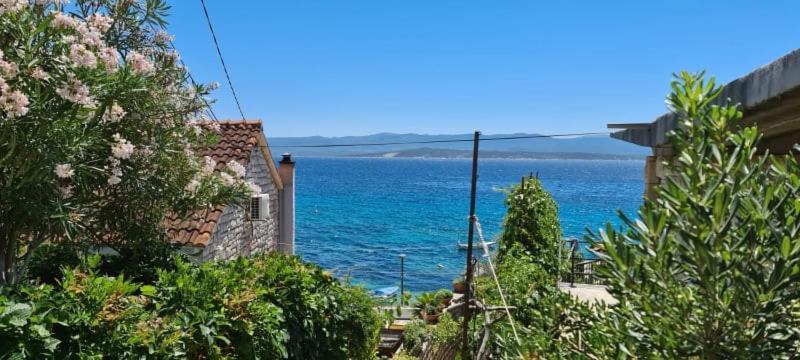 Apartment Merlin Bol Dış mekan fotoğraf